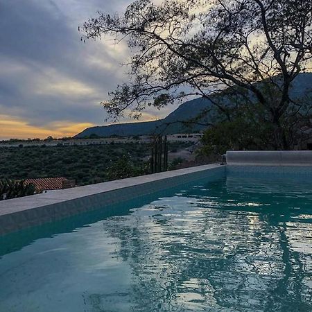 Hotel De Piedra برنال المظهر الخارجي الصورة